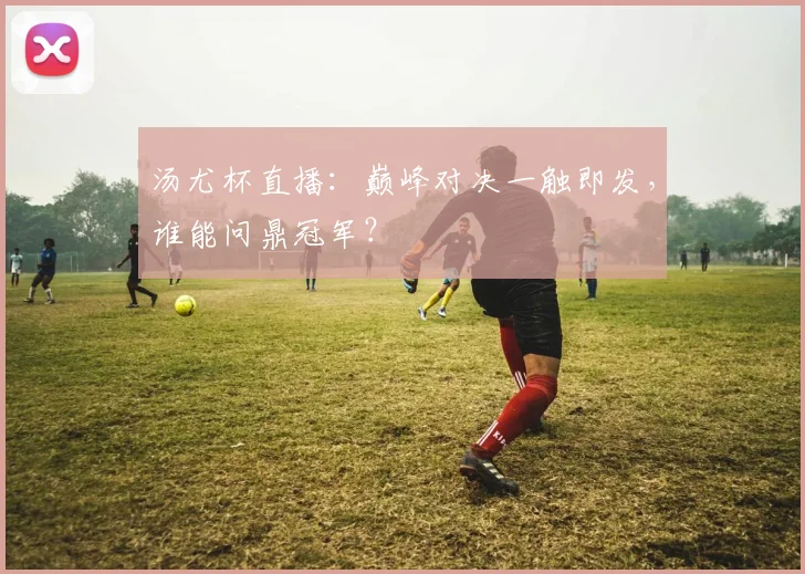 汤尤杯直播：巅峰对决一触即发，谁能问鼎冠军？