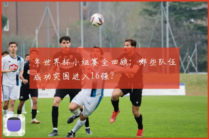 年世界杯小组赛全回顾：哪些队伍成功突围进入16强？