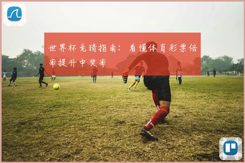 世界杯竞猜指南：看懂体育彩票倍率提升中奖率