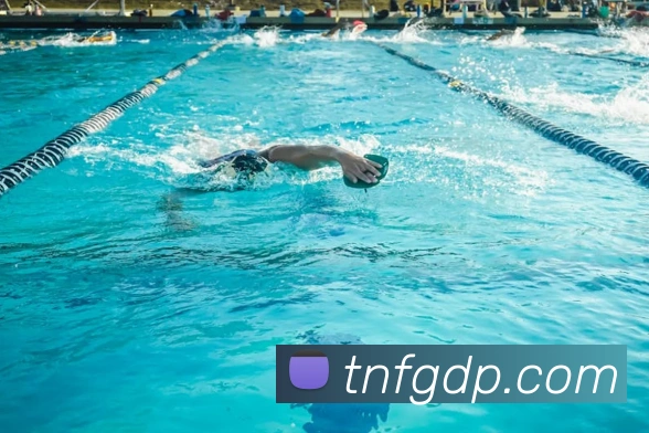 熊猫网官网首页服务体系